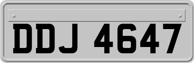 DDJ4647