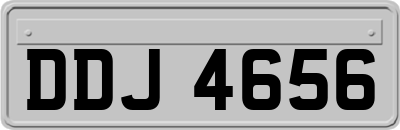 DDJ4656