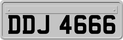 DDJ4666