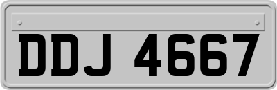 DDJ4667