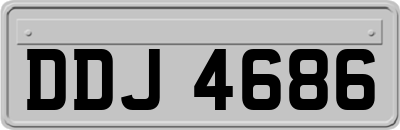 DDJ4686