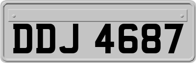 DDJ4687