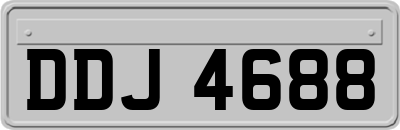 DDJ4688