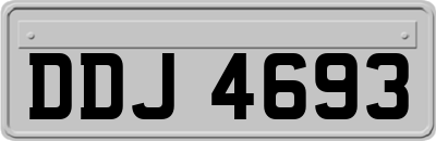 DDJ4693