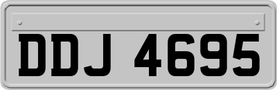 DDJ4695