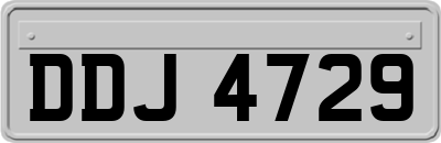 DDJ4729