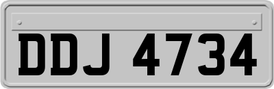 DDJ4734