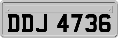 DDJ4736
