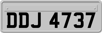 DDJ4737