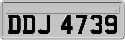 DDJ4739
