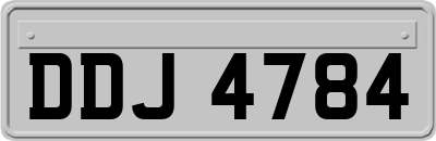 DDJ4784