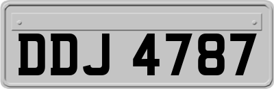 DDJ4787