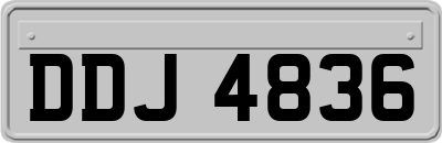 DDJ4836