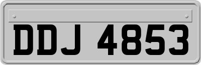 DDJ4853