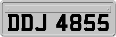 DDJ4855