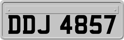 DDJ4857