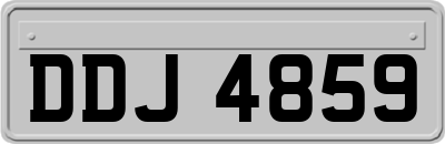 DDJ4859