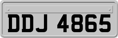 DDJ4865