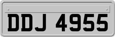 DDJ4955