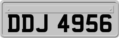 DDJ4956