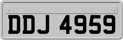 DDJ4959