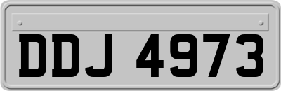 DDJ4973