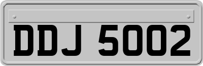 DDJ5002