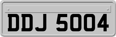 DDJ5004