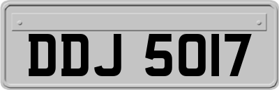 DDJ5017