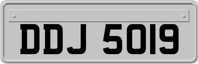 DDJ5019