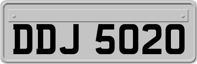 DDJ5020