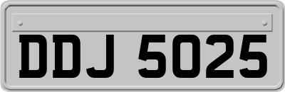 DDJ5025