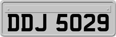 DDJ5029