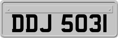 DDJ5031