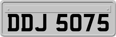 DDJ5075