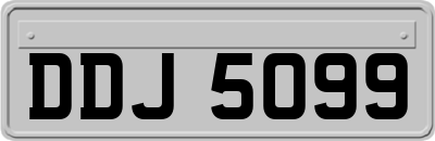 DDJ5099