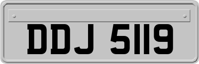 DDJ5119