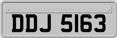 DDJ5163