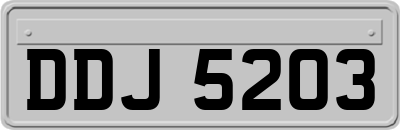 DDJ5203