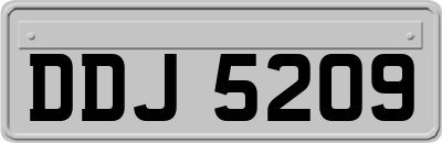 DDJ5209