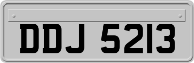 DDJ5213