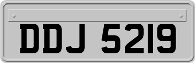 DDJ5219