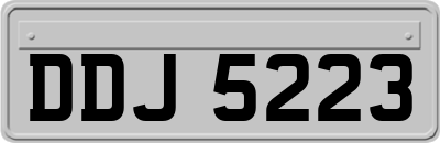 DDJ5223