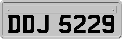 DDJ5229