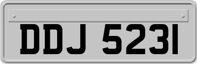 DDJ5231