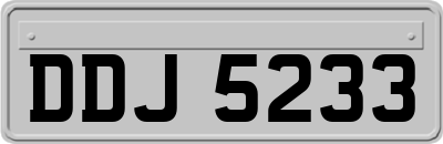 DDJ5233