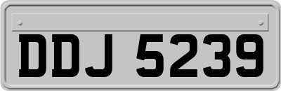 DDJ5239