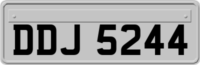 DDJ5244
