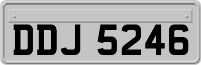 DDJ5246