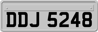 DDJ5248